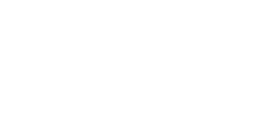 Women's Clothing
